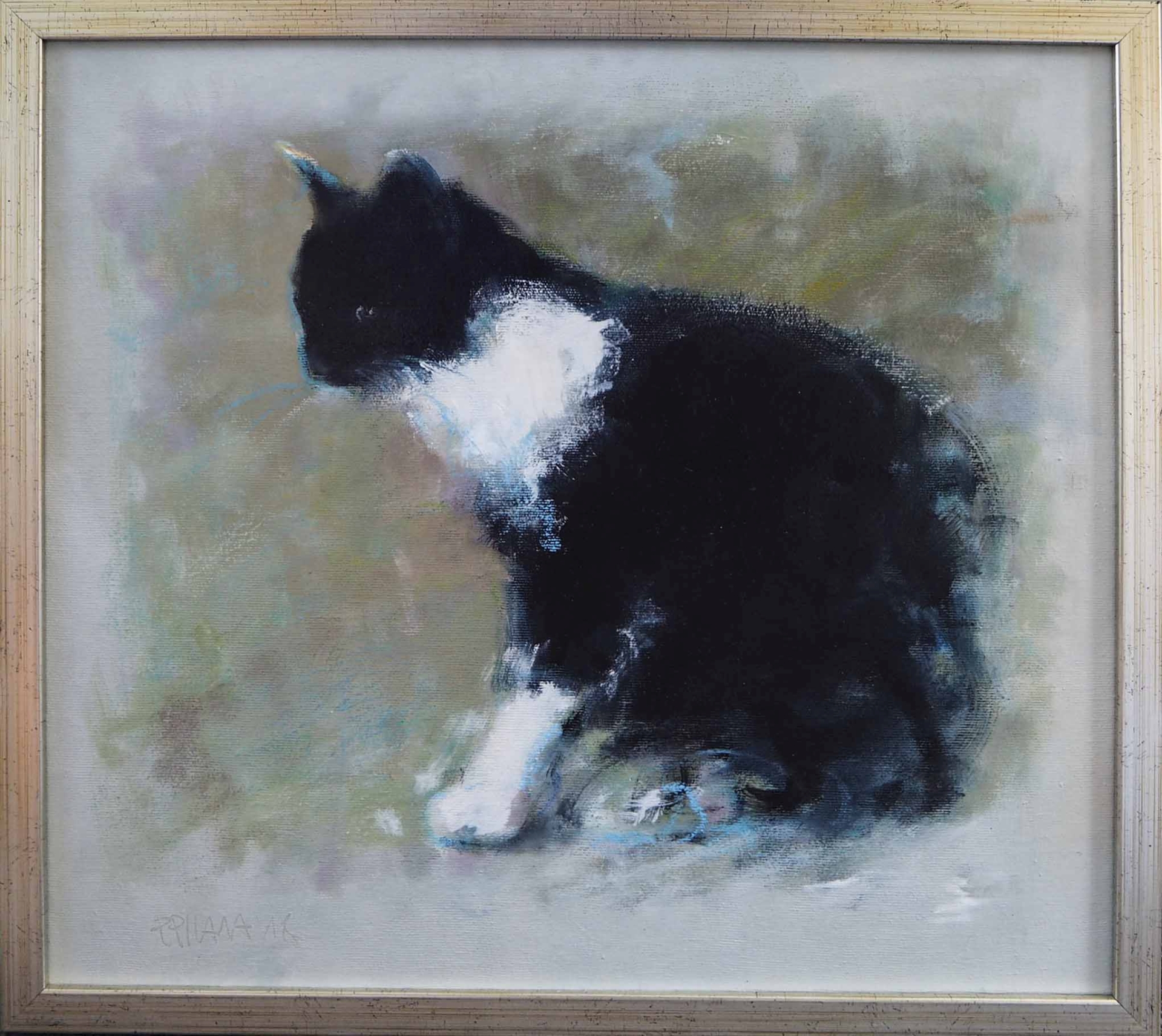Kot czarno-biały 1 olej płótno, 38x38